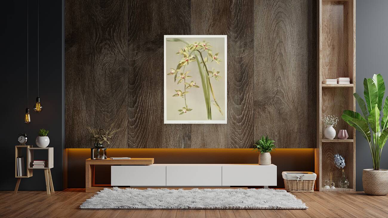 Cymbidium lowianum from Reichenbachia Orchids 1888-1894 illustrated by Frederick Sander 1847-1920.  Reproduction