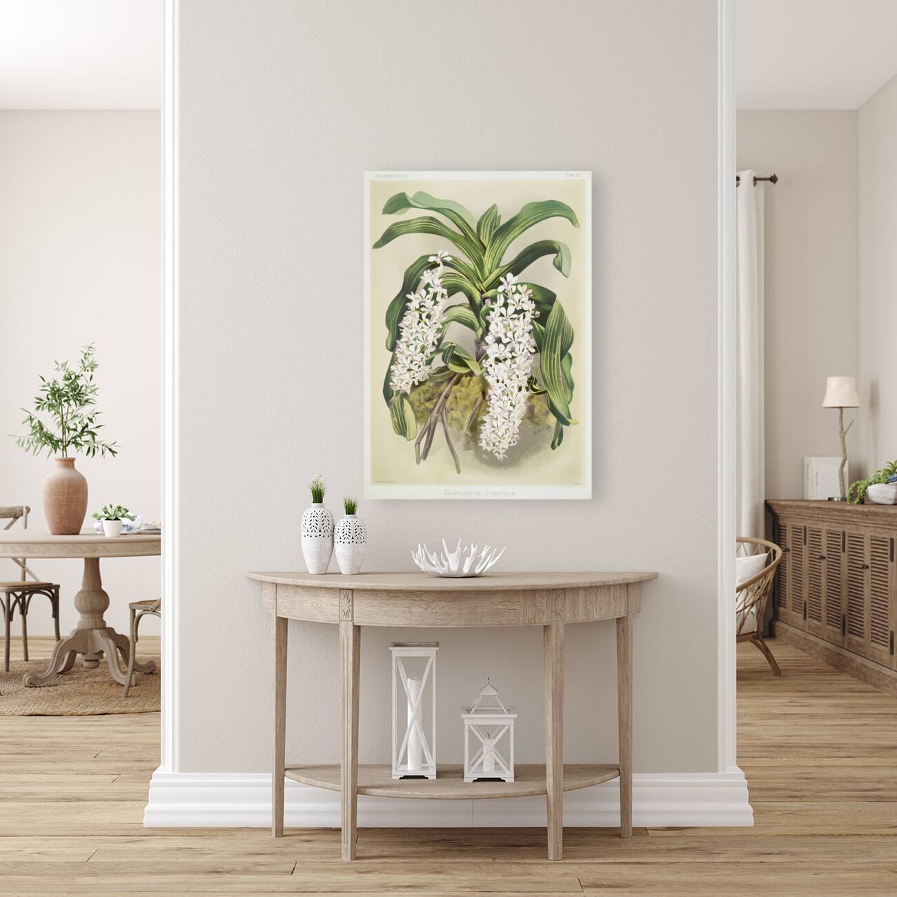 Cypripedium hybridum laucheanum cypripedium hybridum eyermanianum from Reichenbachia Orchids 1888-1894 illustrated by Frederick Sander 1847-1920.  Reproduction