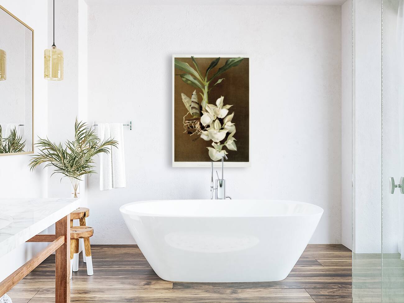 Catasetum bungerothii from Reichenbachia Orchids 1888-1894 illustrated by Frederick Sander 1847-1920.  Reproduction