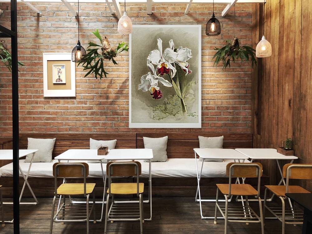 Lælio-cattleya elegans var blenheimensis from Reichenbachia Orchids 1888-1894 illustrated by Frederick Sander 1847-1920.  Reproduction