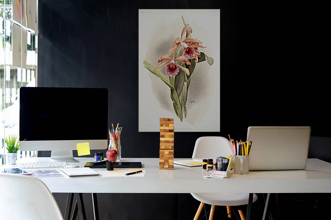 Lælia grandis from Reichenbachia Orchids 1888-1894 illustrated by Frederick Sander 1847-1920.  Reproduction