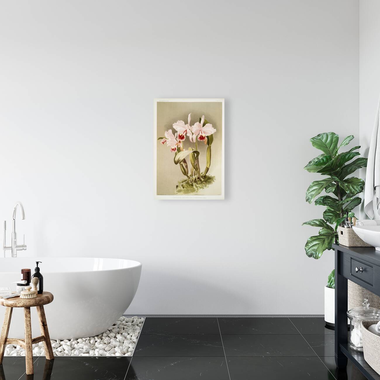 Cattleya labiata var luedemanniana from Reichenbachia Orchids 1888-1894 illustrated by Frederick Sander 1847-1920.  Reproduction