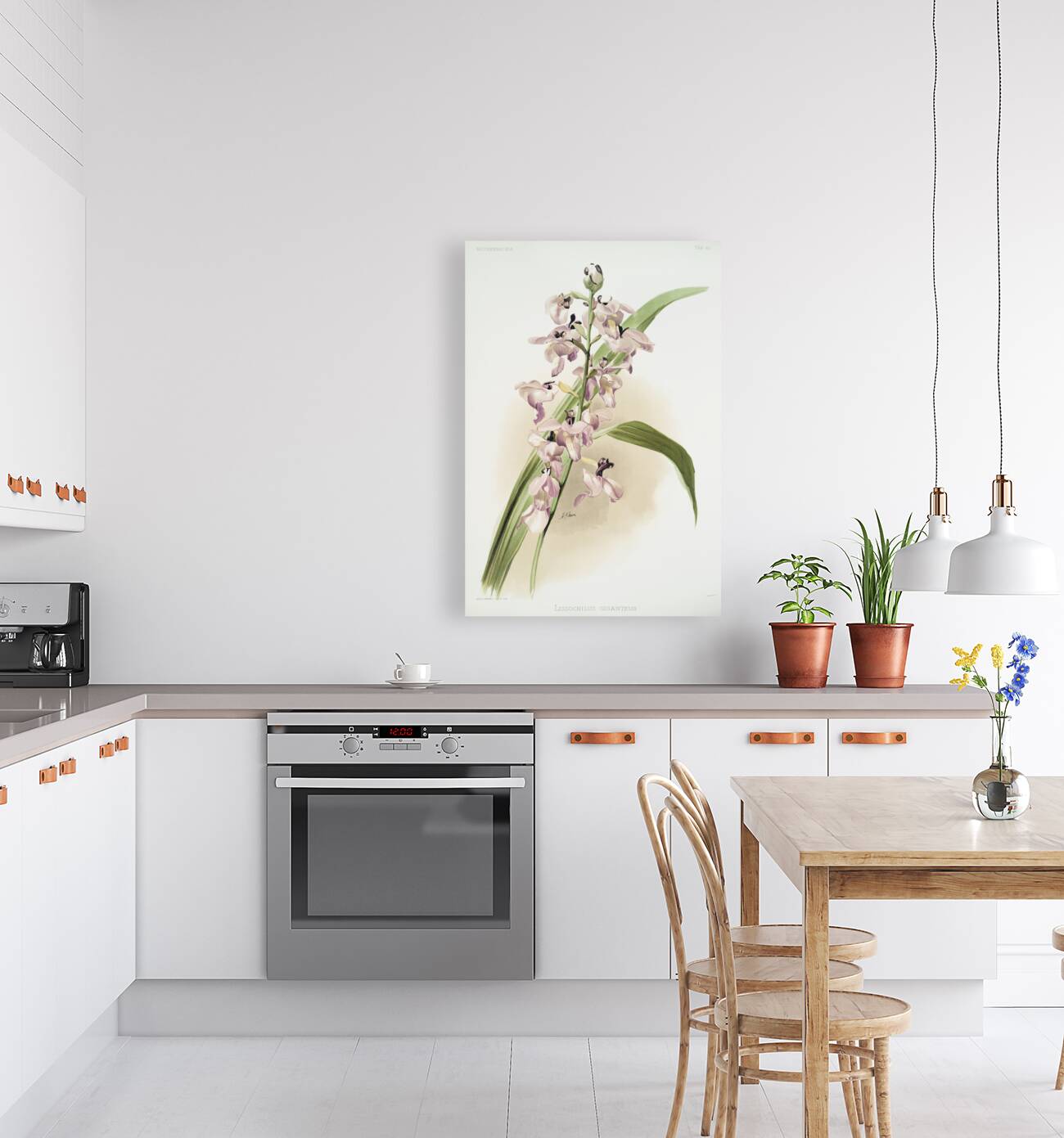 Lissochilus giganteus from Reichenbachia Orchids 1888-1894 illustrated by Frederick Sander 1847-1920.  Reproduction