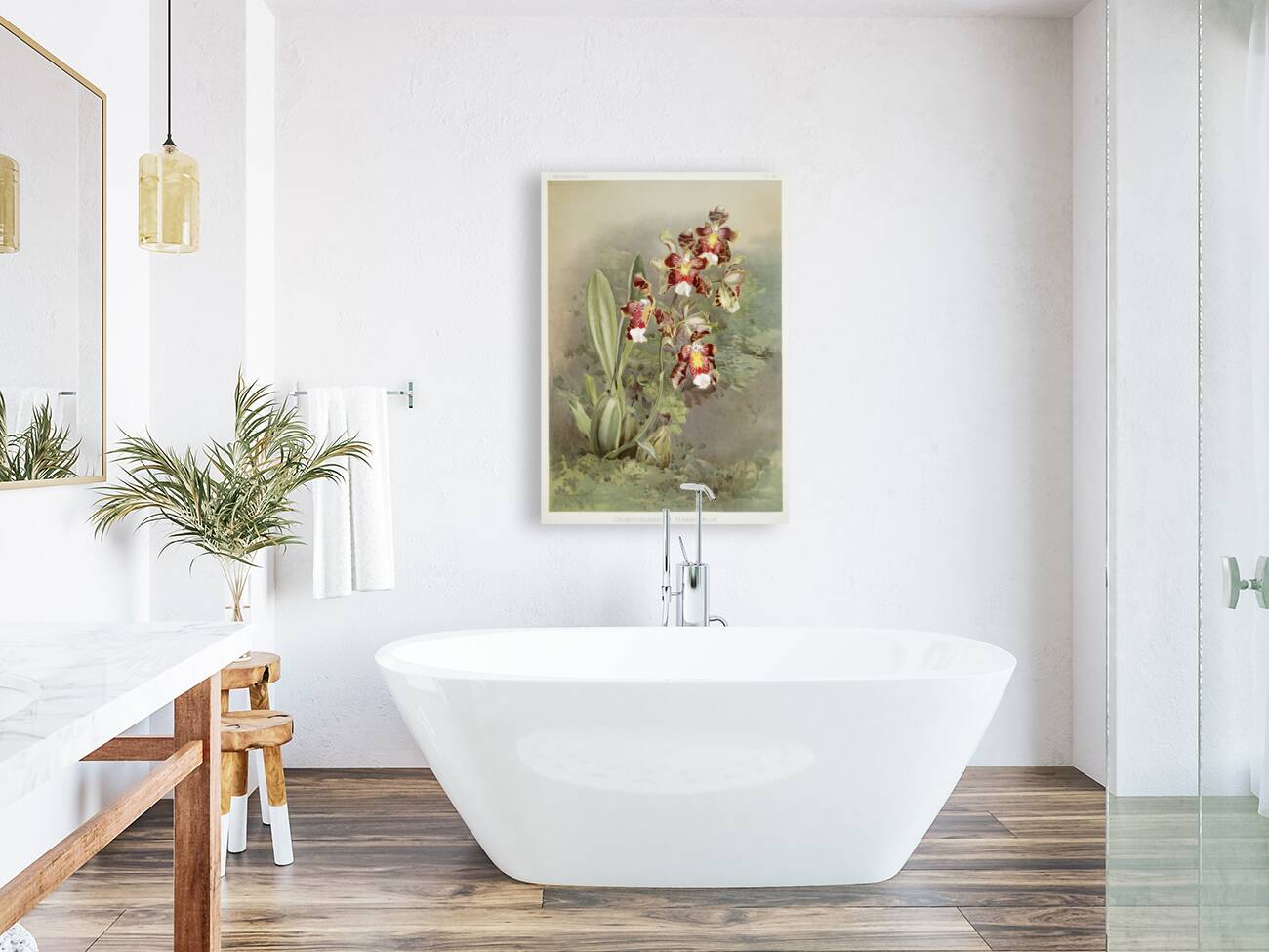 Odontoglossum harryanum from Reichenbachia Orchids 1888-1894 illustrated by Frederick Sander 1847-1920.  Reproduction