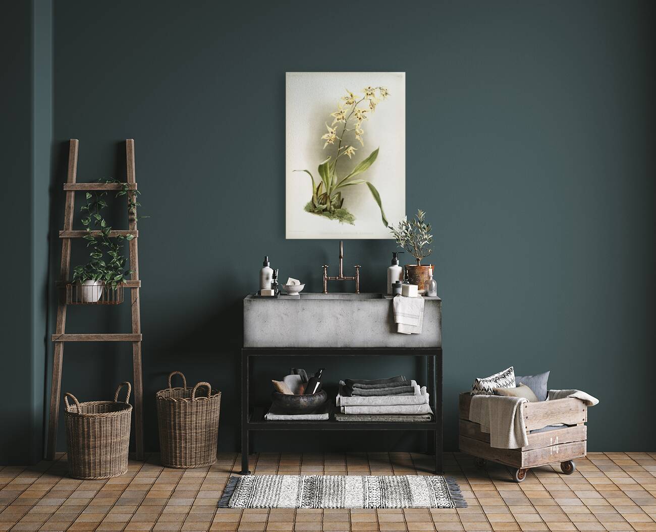 Odontoglossum hebraicum aspersum from Reichenbachia Orchids 1888-1894 illustrated by Frederick Sander 1847-1920.  Reproduction