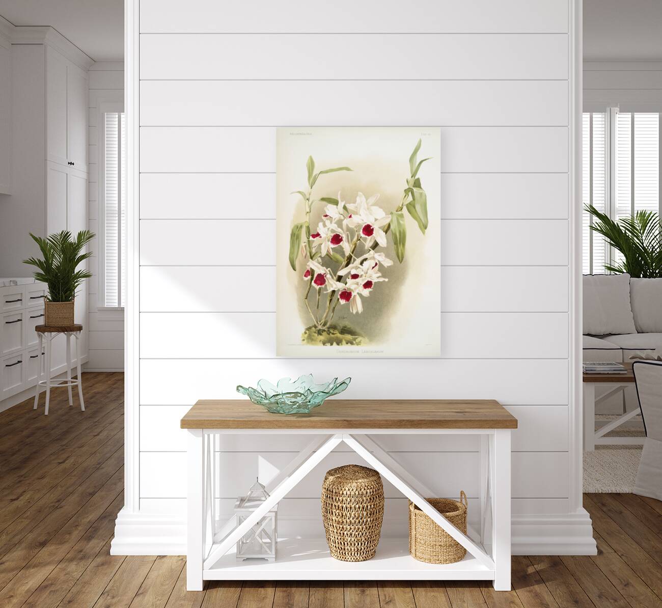 Dendrobium leechianum from Reichenbachia Orchids 1888-1894 illustrated by Frederick Sander 1847-1920.  Reproduction