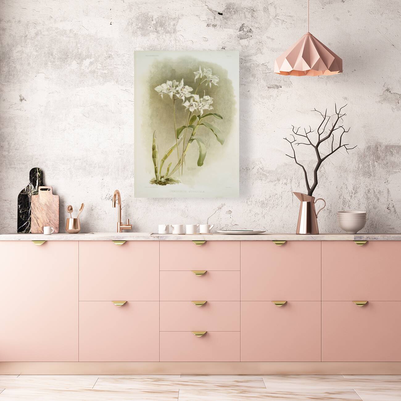 Dendrobium Johnsoniæ from Reichenbachia Orchids 1888-1894 illustrated by Frederick Sander 1847-1920.  Reproduction