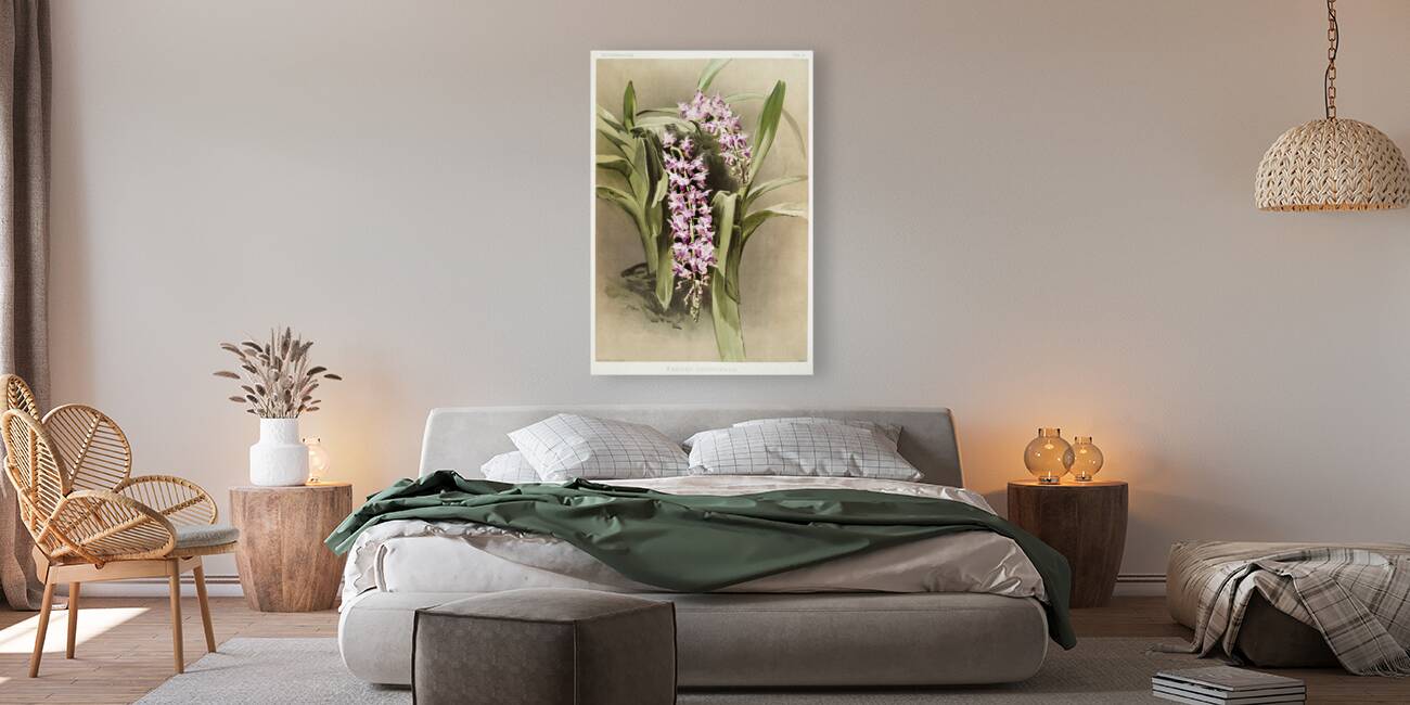 Aërides savageanum from Reichenbachia Orchids 1888-1894 illustrated by Frederick Sander 1847-1920.  Reproduction