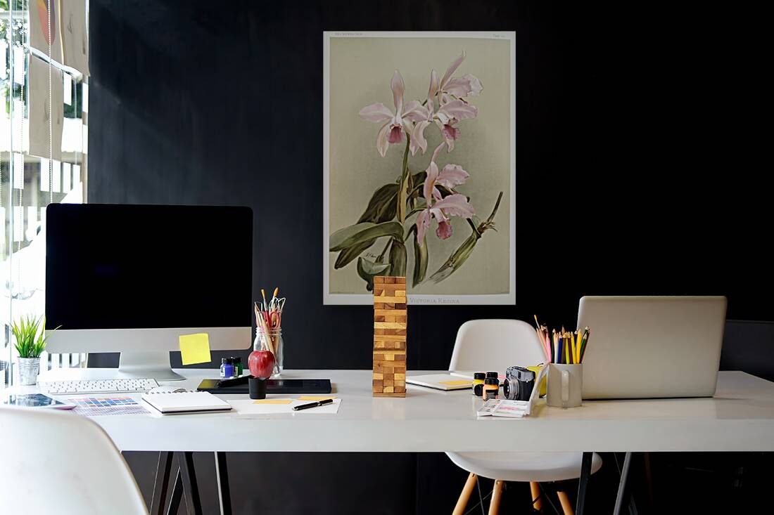 Cattleya victoria regina from Reichenbachia Orchids 1888-1894 illustrated by Frederick Sander 1847-1920.  Reproduction