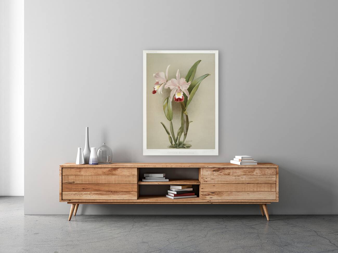 Cattleya victoria regina from Reichenbachia Orchids 1888-1894 illustrated by Frederick Sander 1847-1920.  Reproduction