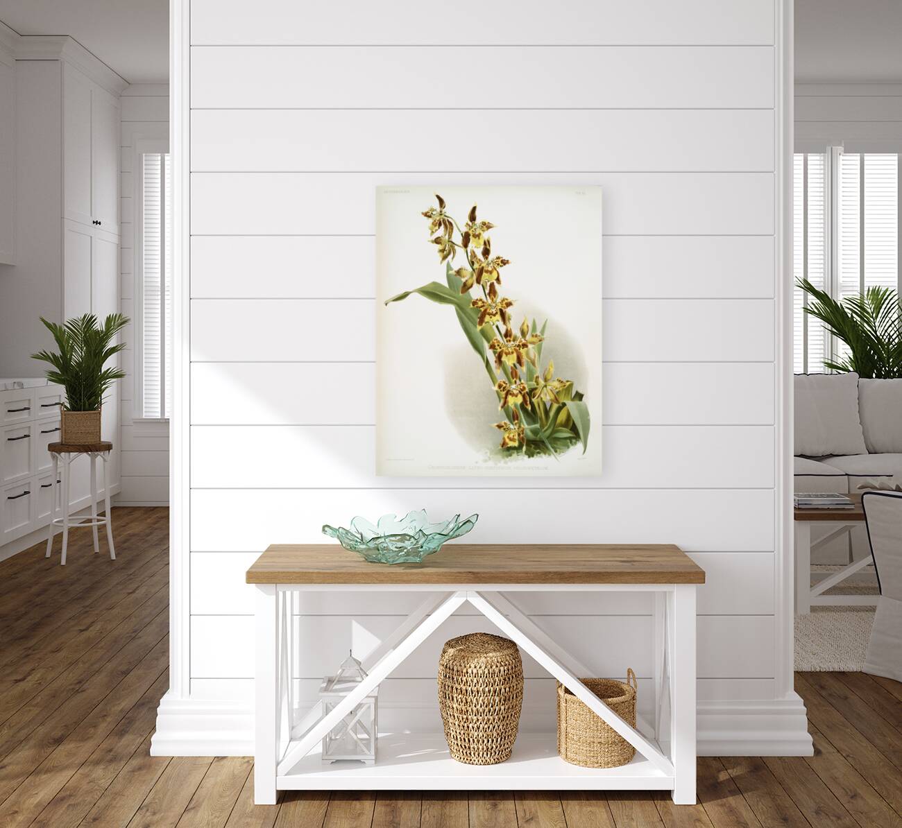 Odontoglossum luteo-purpureum prionopetalum from Reichenbachia Orchids 1888-1894 illustrated by Frederick Sander 1847-1920.  Reproduction