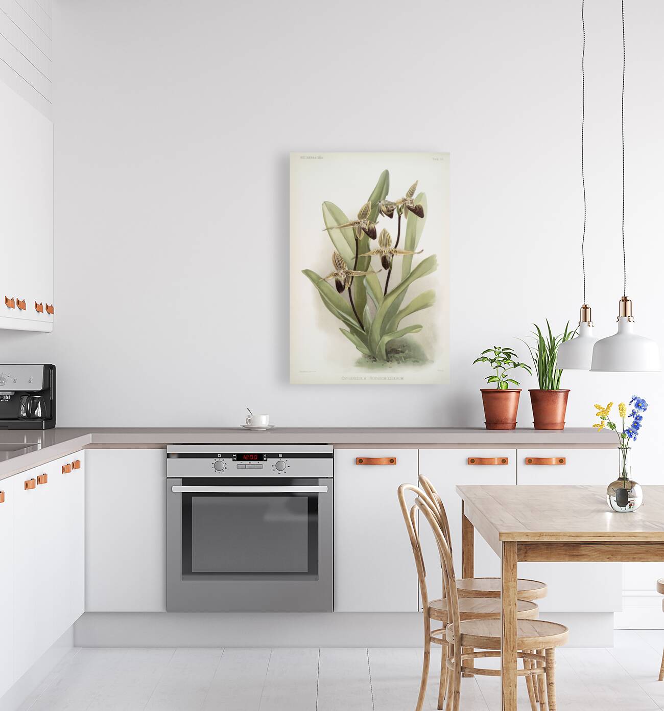 Cypripedium rothschildianum from Reichenbachia Orchids 1888-1894 illustrated by Frederick Sander 1847-1920.  Reproduction