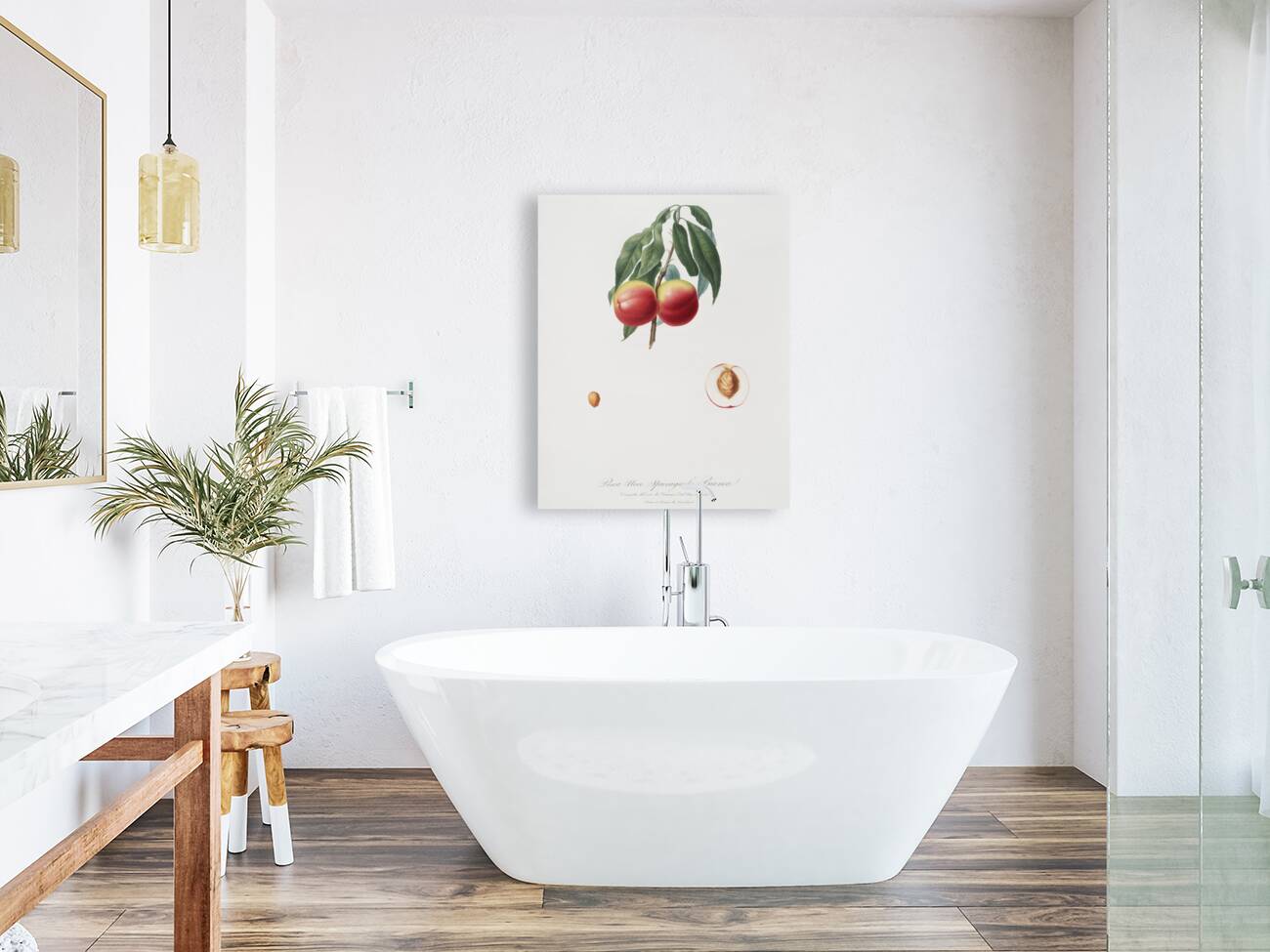 Peach Persica psillidermis from Pomona Italiana 1817 - 1839 by Giorgio Gallesio 1772-1839.  Reproduction