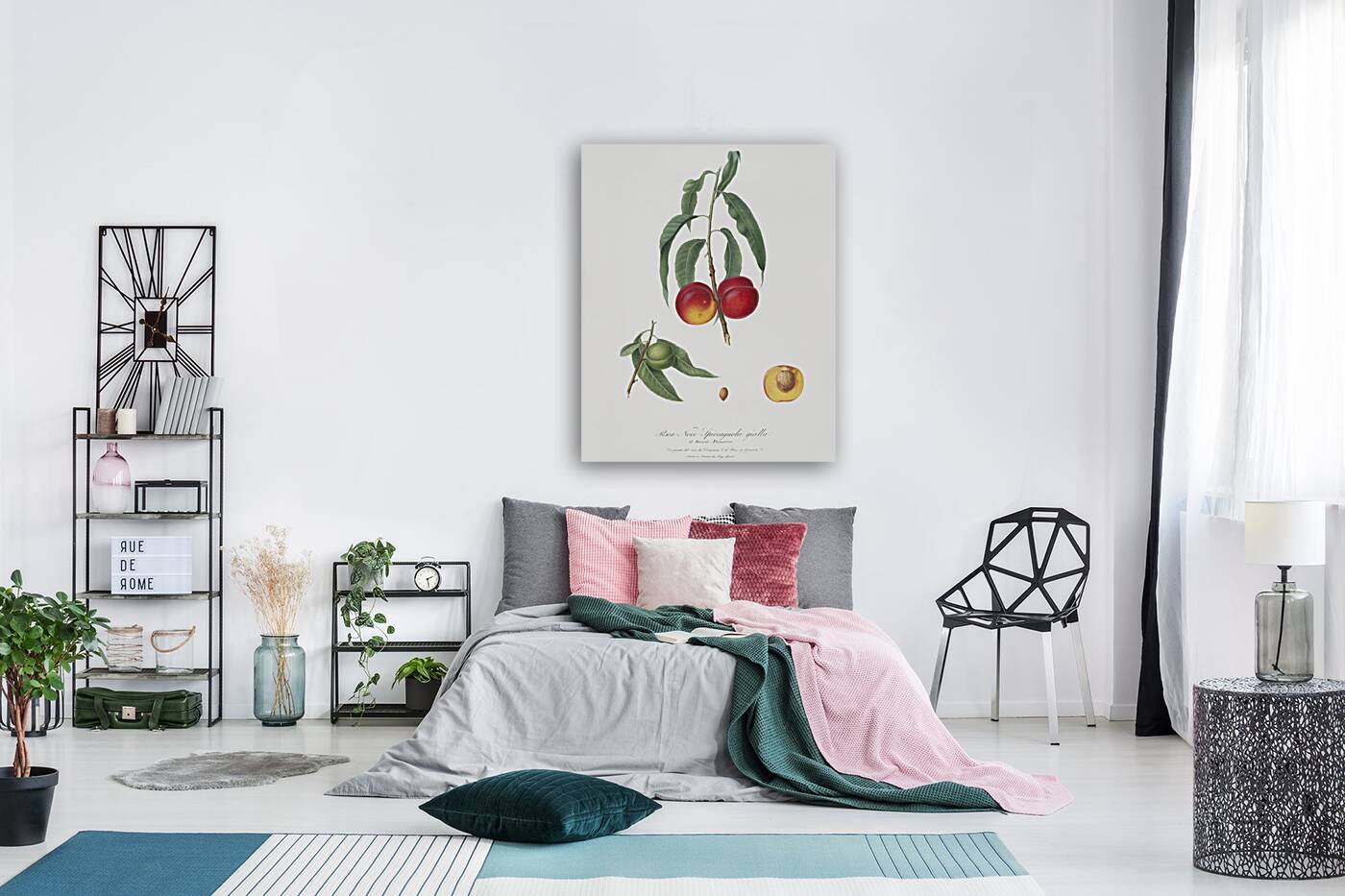 Walnut peach Persica from Pomona Italiana 1817 - 1839 by Giorgio Gallesio 1772-1839.  Reproduction