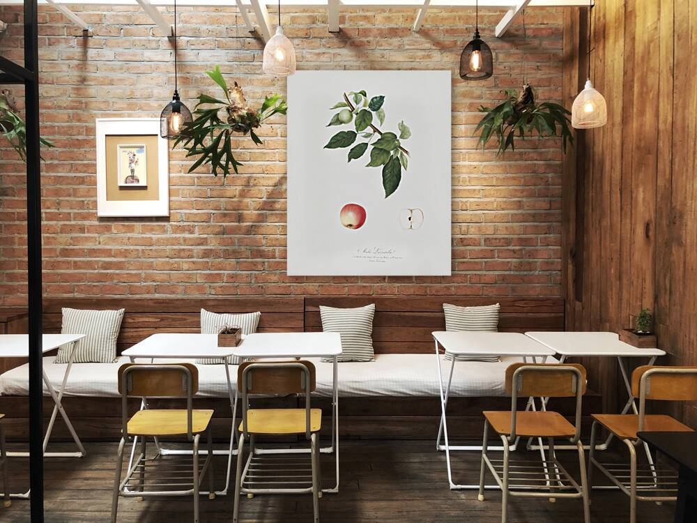 Apple Malus pumila from Pomona Italiana 1817 - 1839 by Giorgio Gallesio 1772-1839.  Reproduction