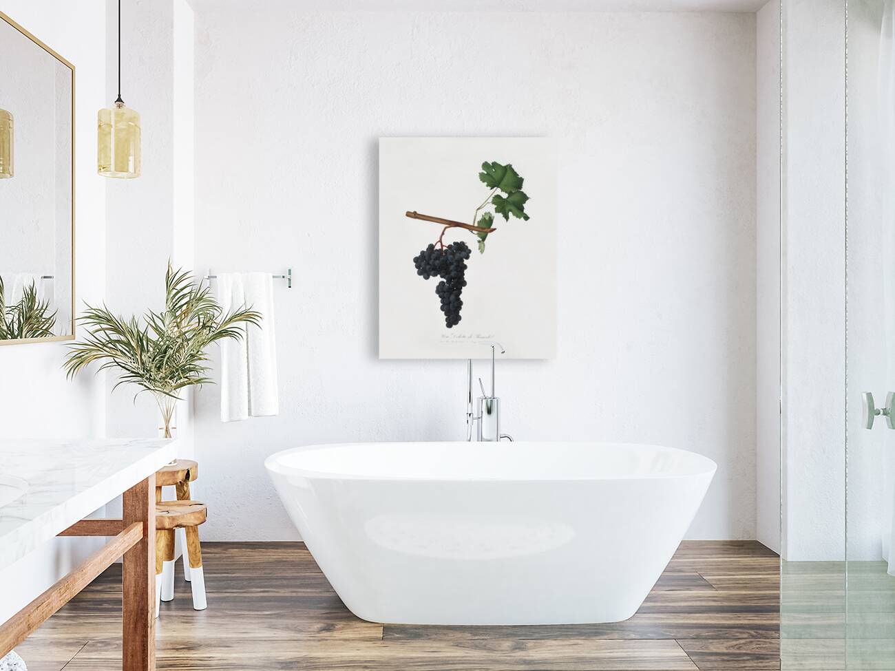 Apricot Prunus Sanctae Catherinae from Pomona Italiana 1817 - 1839 by Giorgio Gallesio 1772-1839.  Reproduction