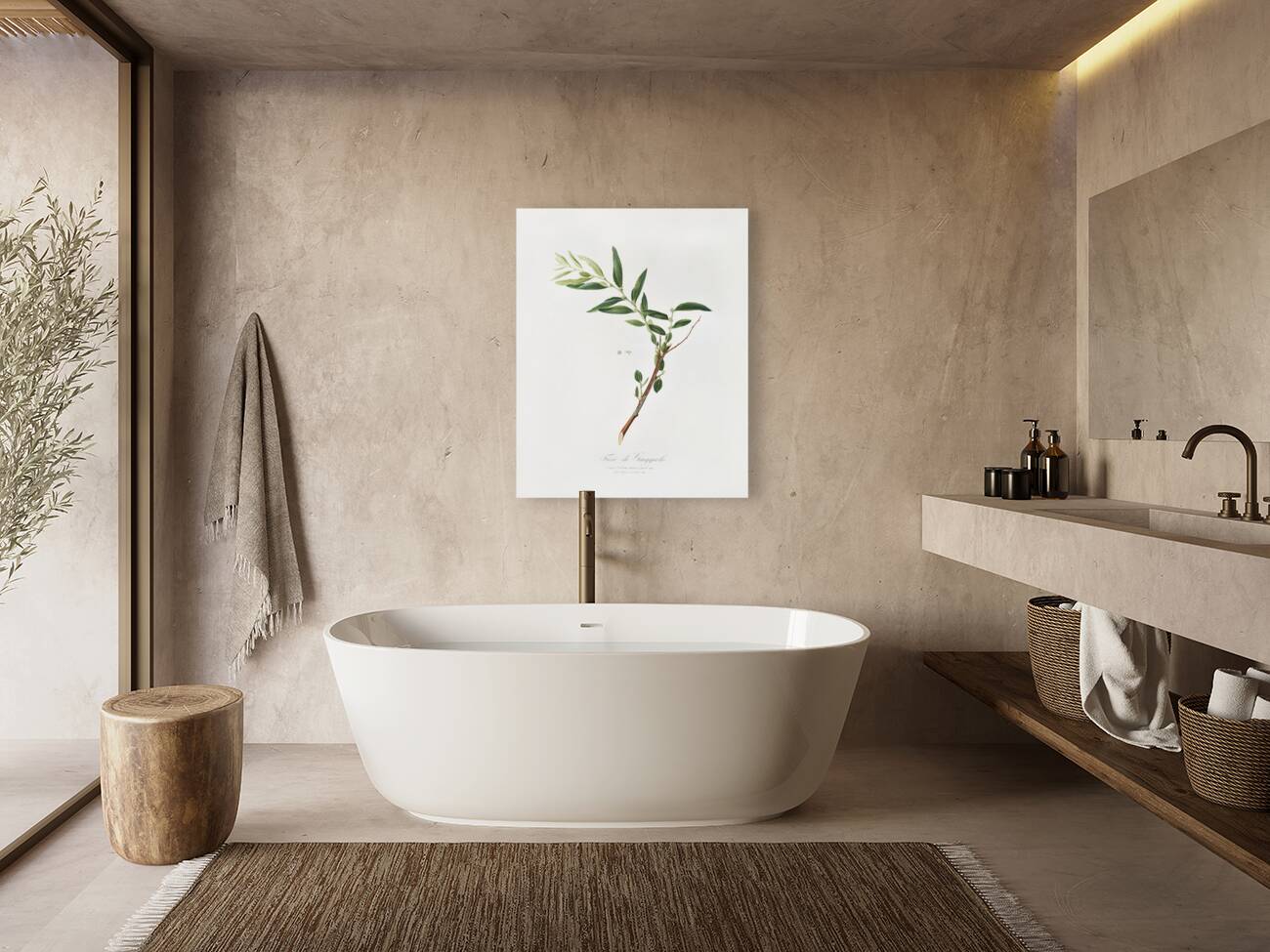 Jujube Fiorazione del Giuggiolo from Pomona Italiana 1817 - 1839 by Giorgio Gallesio 1772-1839.  Reproduction