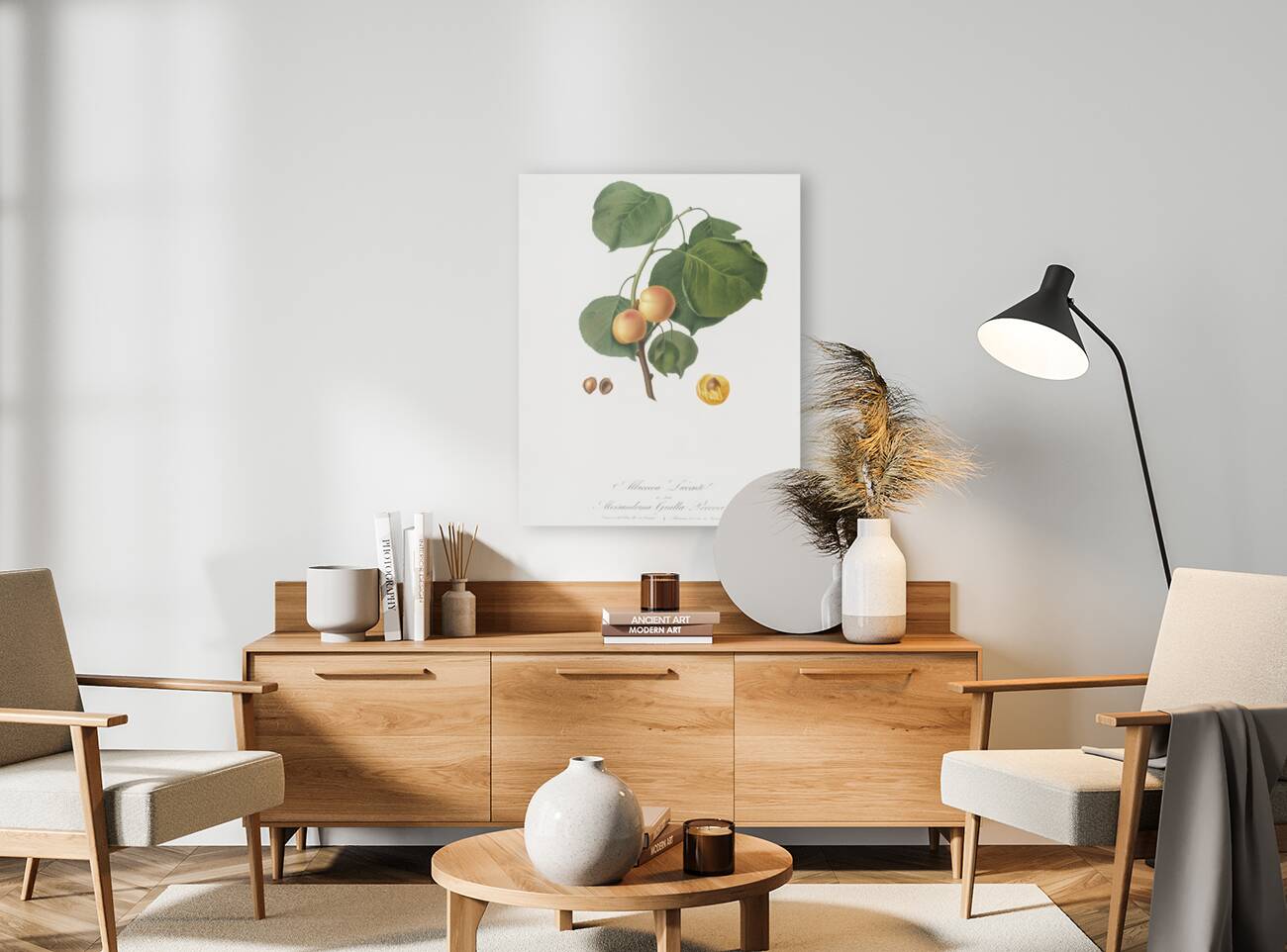 Grape vine Vitis vinifera Niciensis from Pomona Italiana 1817 - 1839 by Giorgio Gallesio 1772-1839.  Reproduction