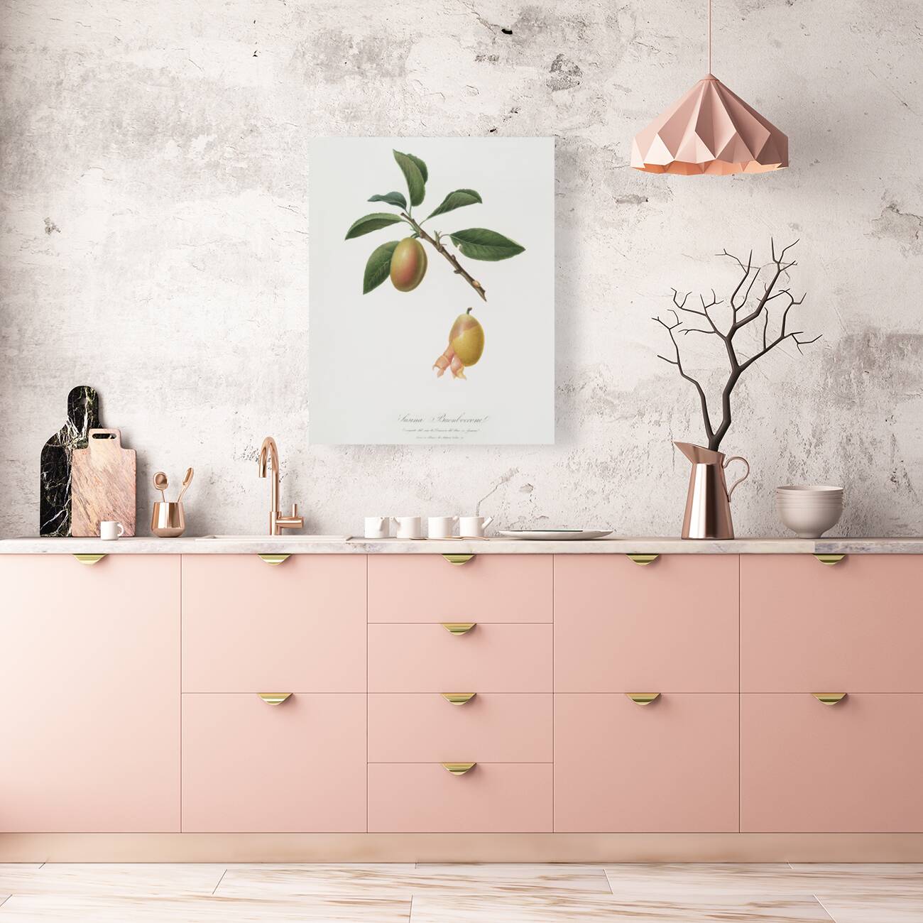 Armenian plum Prunus armeniaca from Pomona Italiana 1817 - 1839 by Giorgio Gallesio 1772-1839.  Reproduction