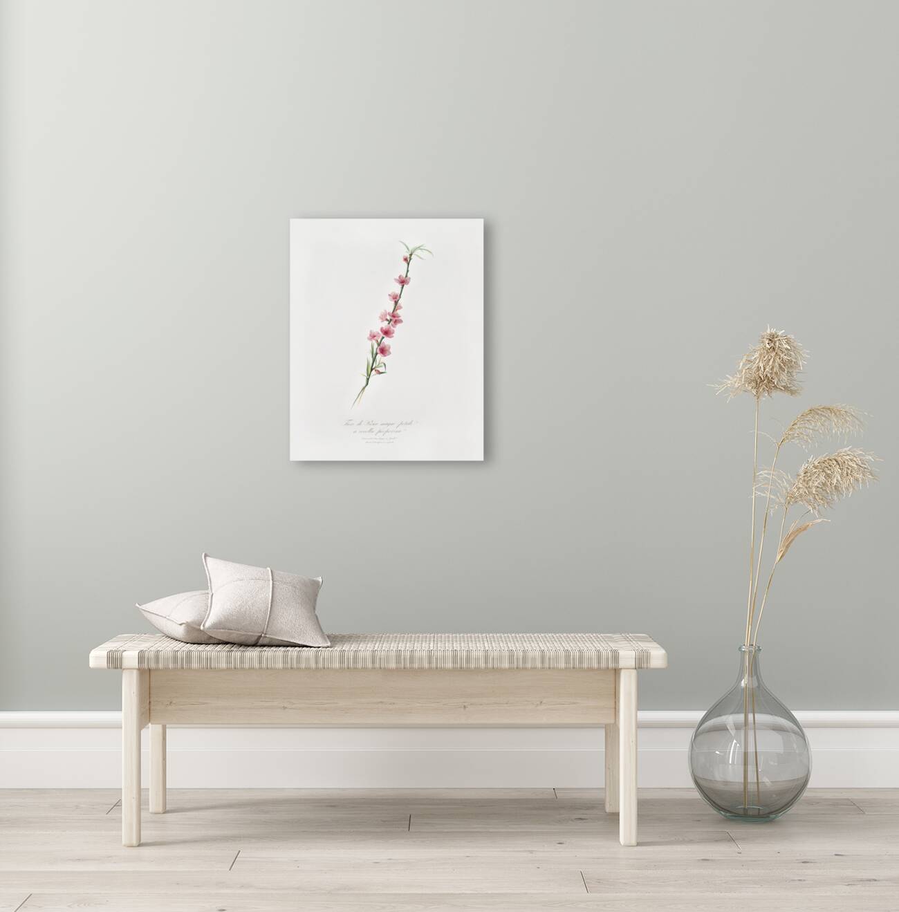 Peach blossoms Prunus persica from Pomona Italiana 1817 - 1839 by Giorgio Gallesio 1772-1839.  Reproduction