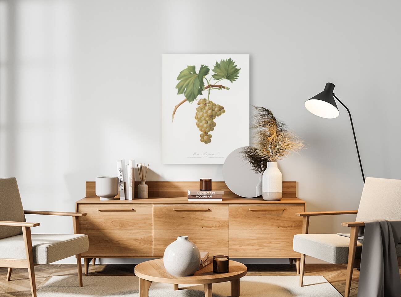 Grape vine Vitis vinifera Niciensis from Pomona Italiana 1817 - 1839 by Giorgio Gallesio 1772-1839.  Reproduction