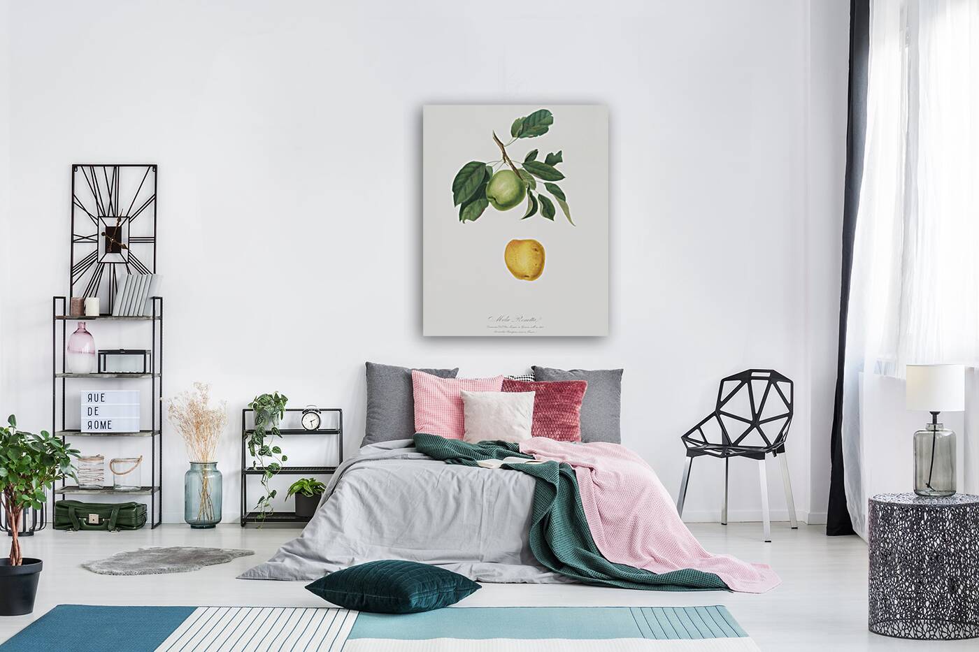 Apple Malus pumila from Pomona Italiana 1817 - 1839 by Giorgio Gallesio 1772-1839.  Reproduction