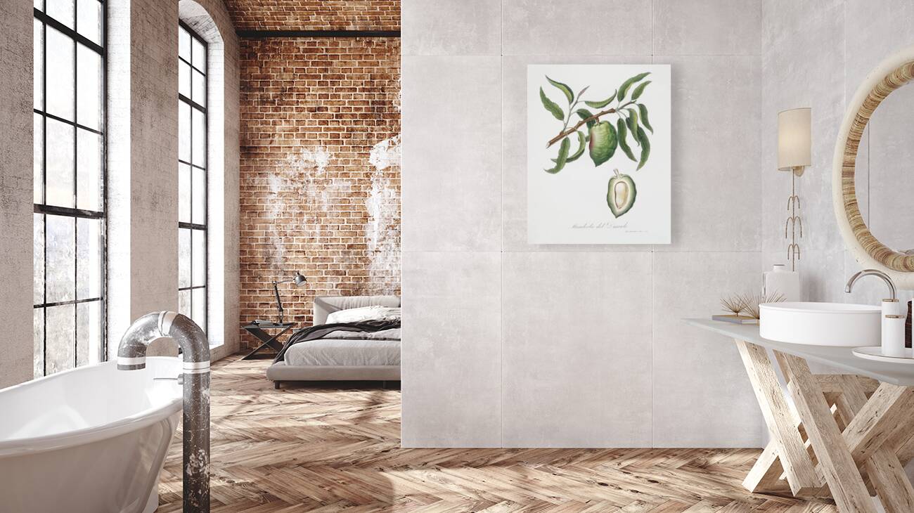 Almond Communis naxea from Pomona Italiana 1817 - 1839 by Giorgio Gallesio 1772-1839.  Reproduction