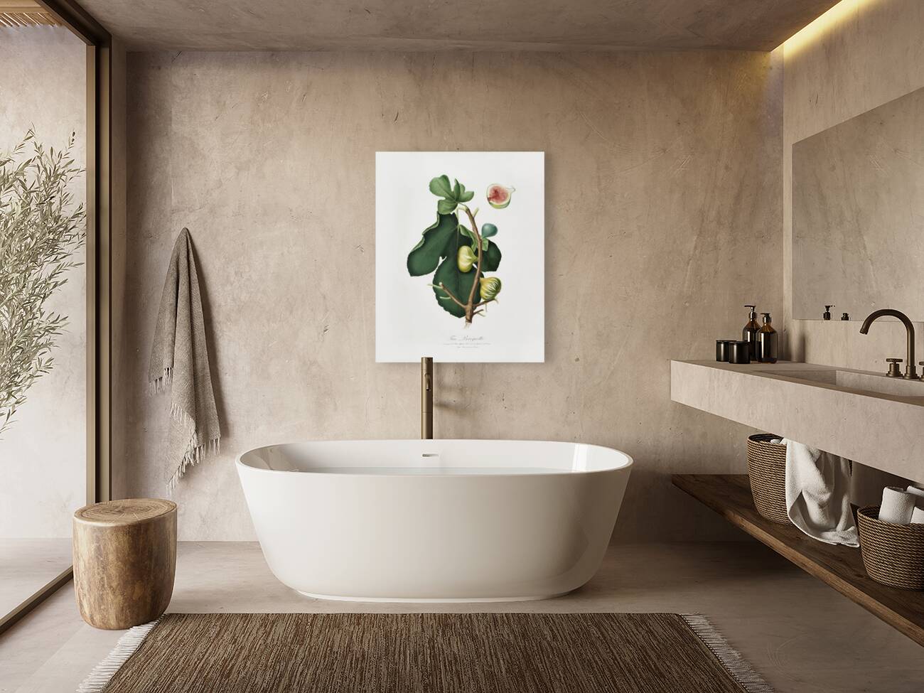 White-peel fig Ficus carica sativa from Pomona Italiana 1817 - 1839 by Giorgio Gallesio 1772-1839.  Reproduction