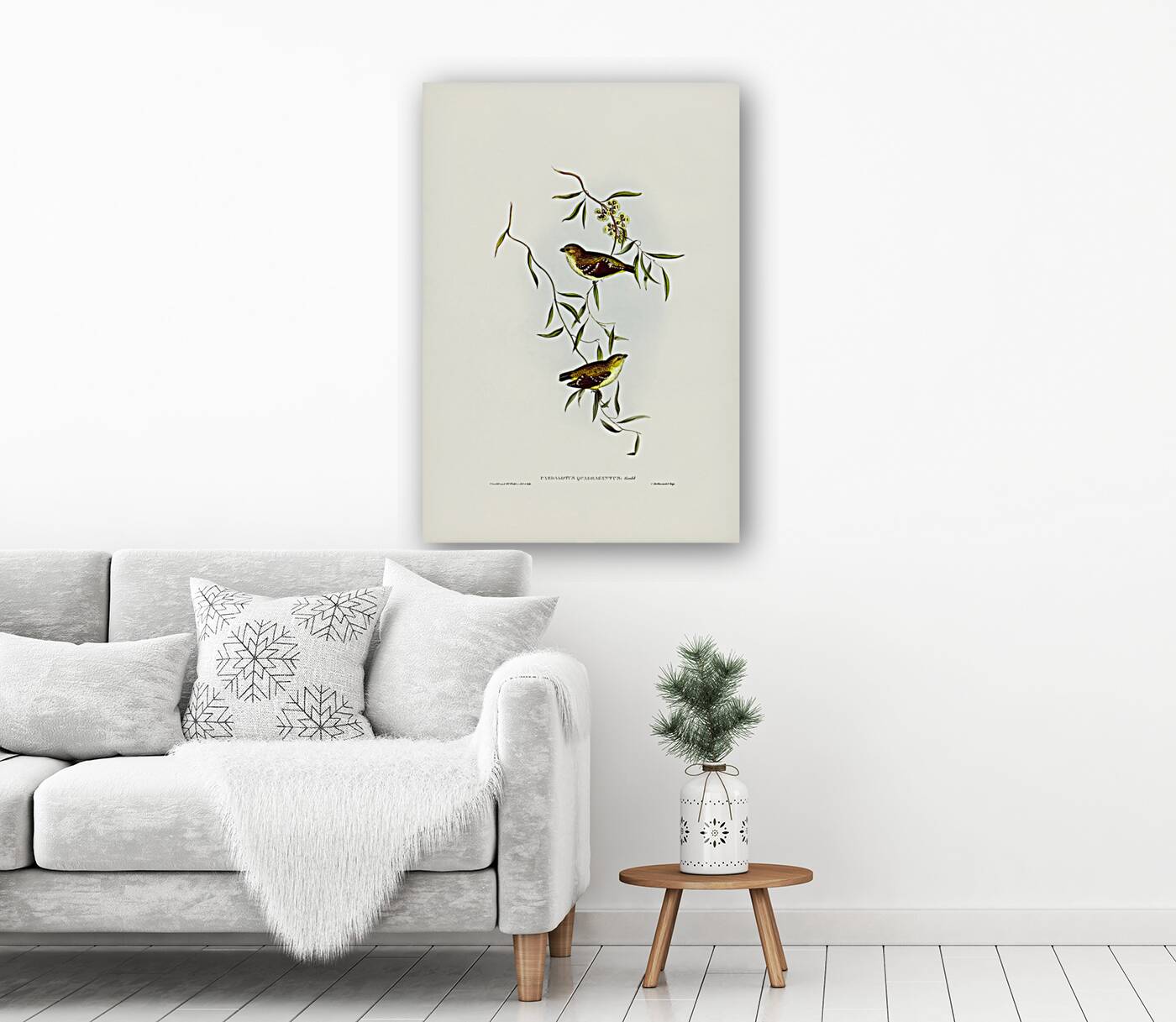 Forty-spotted Pardalote Pardalotus quadragintus illustrated by Elizabeth Gould 1804–1841 for John Gould’s 1804-1881 Birds of Australia  Reproduction