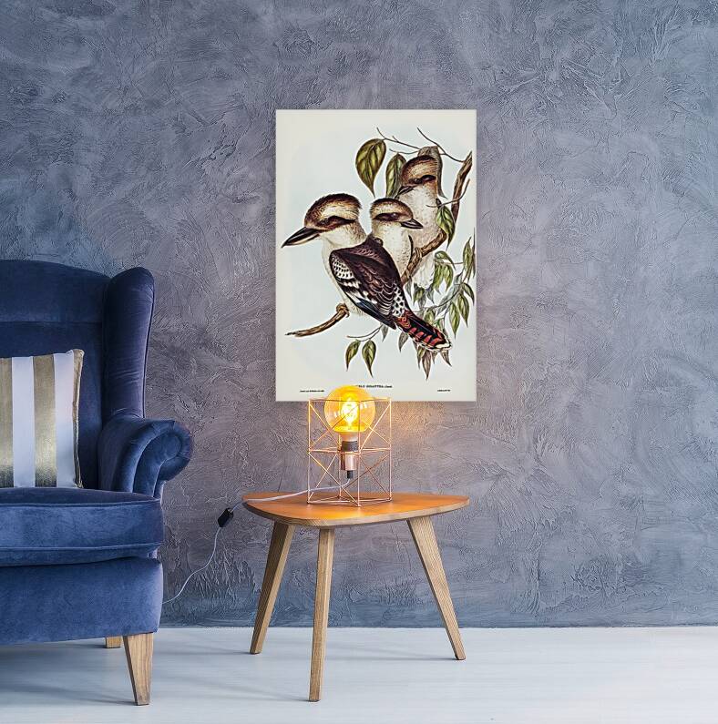 Great Brown Kingfisher Dacelo gigantic illustrated by Elizabeth Gould 1804–1841 for John Gould’s 1804-1881 Birds of Australia  Reproduction