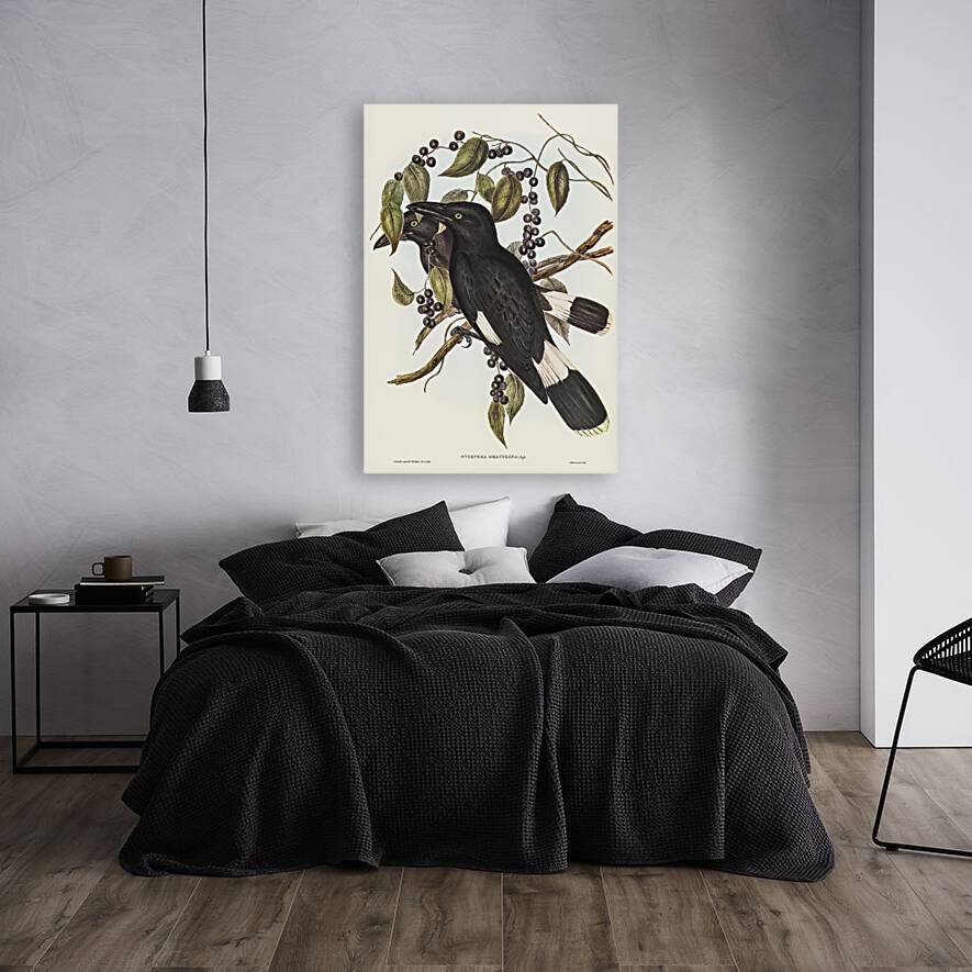 Great Crow-Shrike Strepera graculina illustrated by Elizabeth Gould 1804–1841 for John Gould’s 1804-1881 Birds of Australia  Reproduction