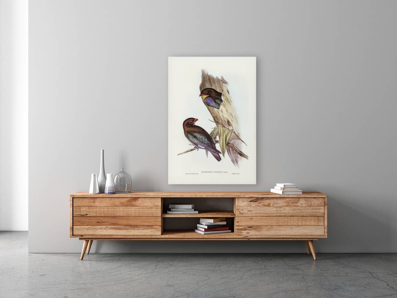 Australian Roller Eurystomus Australis illustrated by Elizabeth Gould 1804–1841 for John Gould’s 1804-1881 Birds of Australia  Reproduction