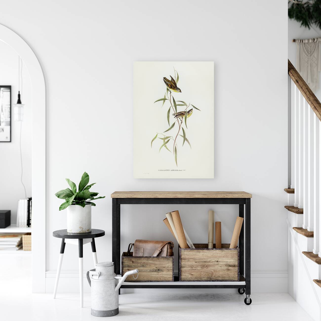 Allied Pardalote Pardalotus affines illustrated by Elizabeth Gould 1804–1841 for John Gould’s 1804-1881 Birds of Australia  Reproduction