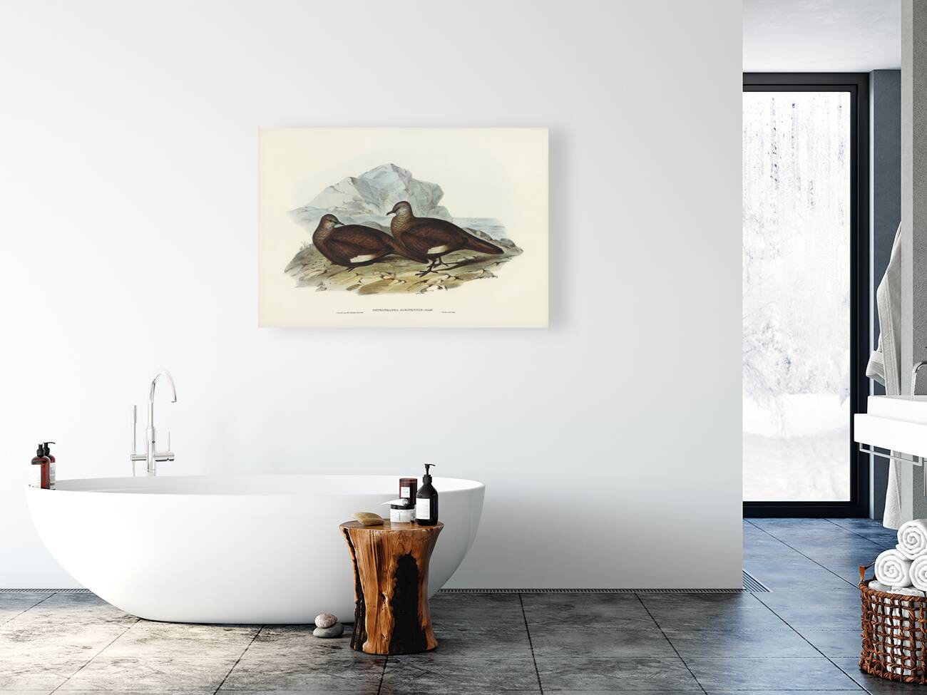 White-quilled Rock Dove Petrophassa albipennis illustrated by Elizabeth Gould 1804–1841 for John Gould’s 1804-1881 Birds of Australia  Reproduction