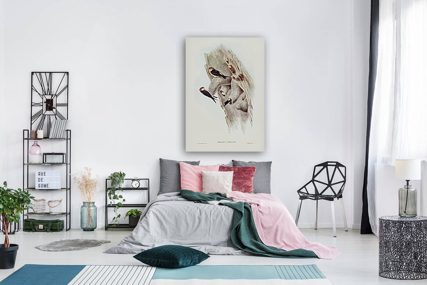 Fairy Martin Collocalia Ariel illustrated by Elizabeth Gould 1804–1841 for John Gould’s 1804-1881 Birds of Australia  Reproduction