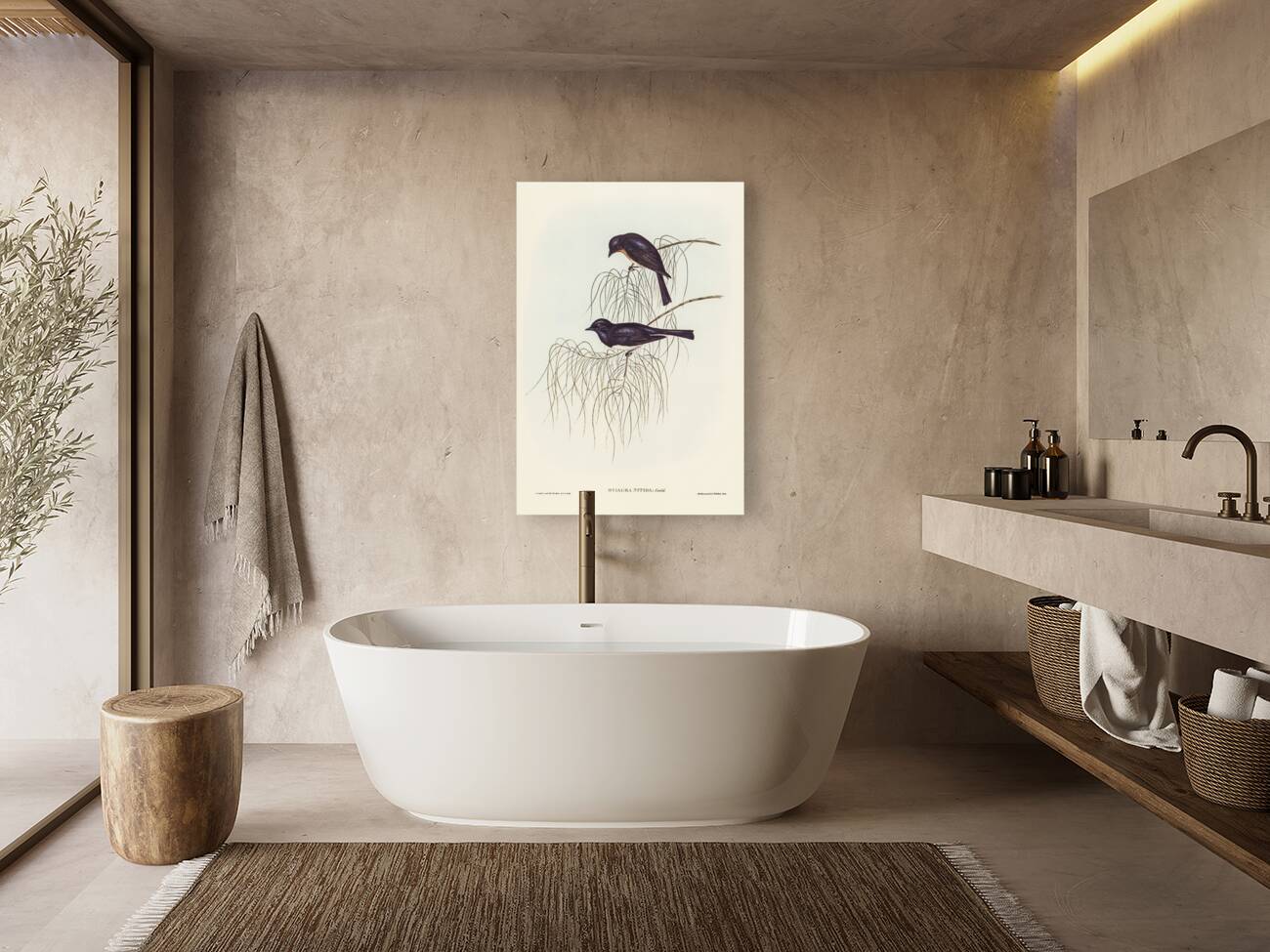 Shining Flycatcher Myiagra nitida illustrated by Elizabeth Gould 1804–1841 for John Gould’s 1804-1881 Birds of Australia  Reproduction