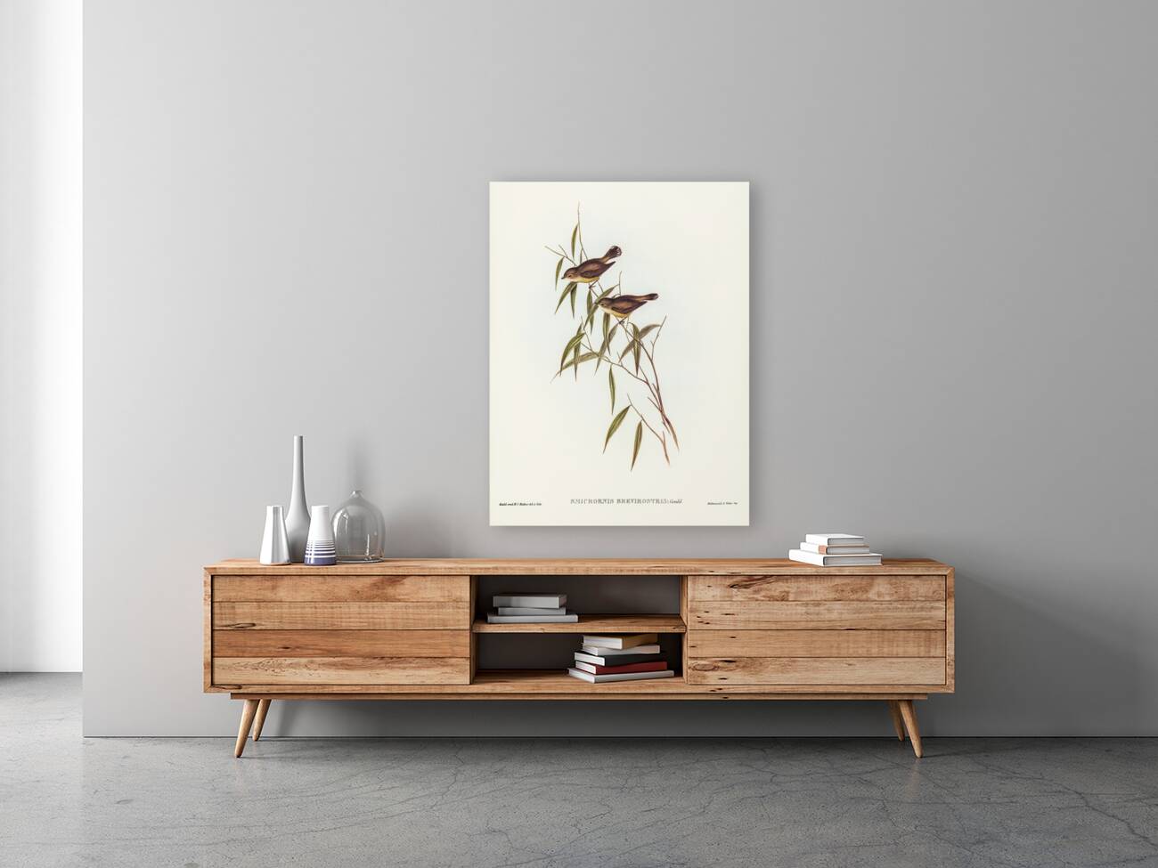 Short-billed tree tit Smicrornis brevirostris illustrated by Elizabeth Gould 1804–1841 for John Gould’s 1804-1881 Birds of Australia  Reproduction