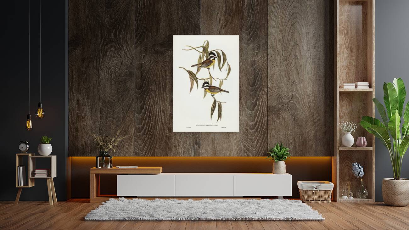 Frontal Shrike-Tit Falcunculus frontatus illustrated by Elizabeth Gould 1804–1841 for John Gould’s 1804-1881 Birds of Australia  Reproduction