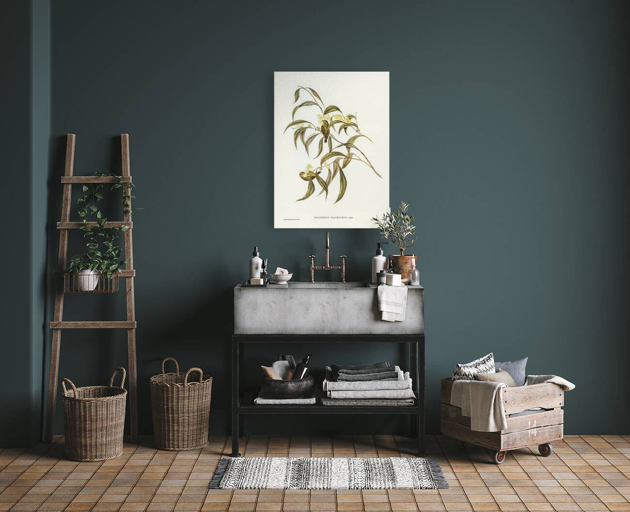 Yellow Weebill Smicrornis flavescens illustrated by Elizabeth Gould 1804–1841 for John Gould’s 1804-1881 Birds of Australia  Reproduction