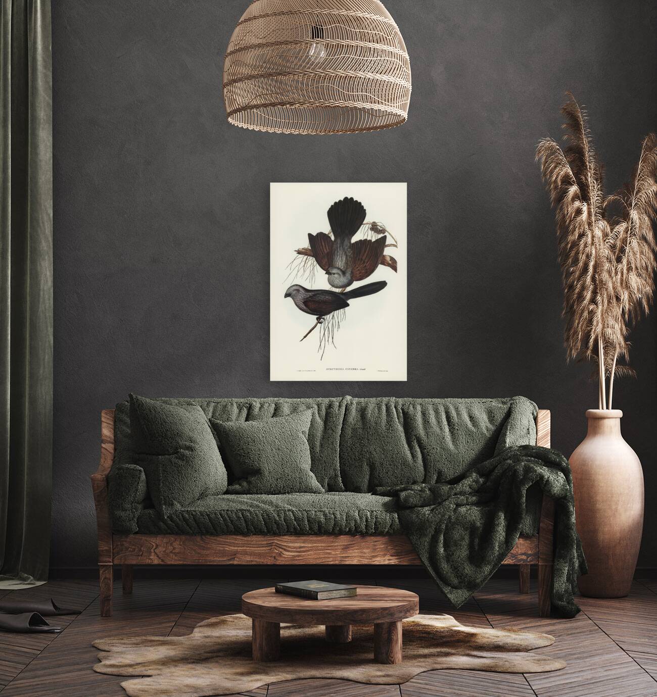 Grey Struthidea Struthidea cinerea illustrated by Elizabeth Gould 1804–1841 for John Gould’s 1804-1881 Birds of Australia  Reproduction