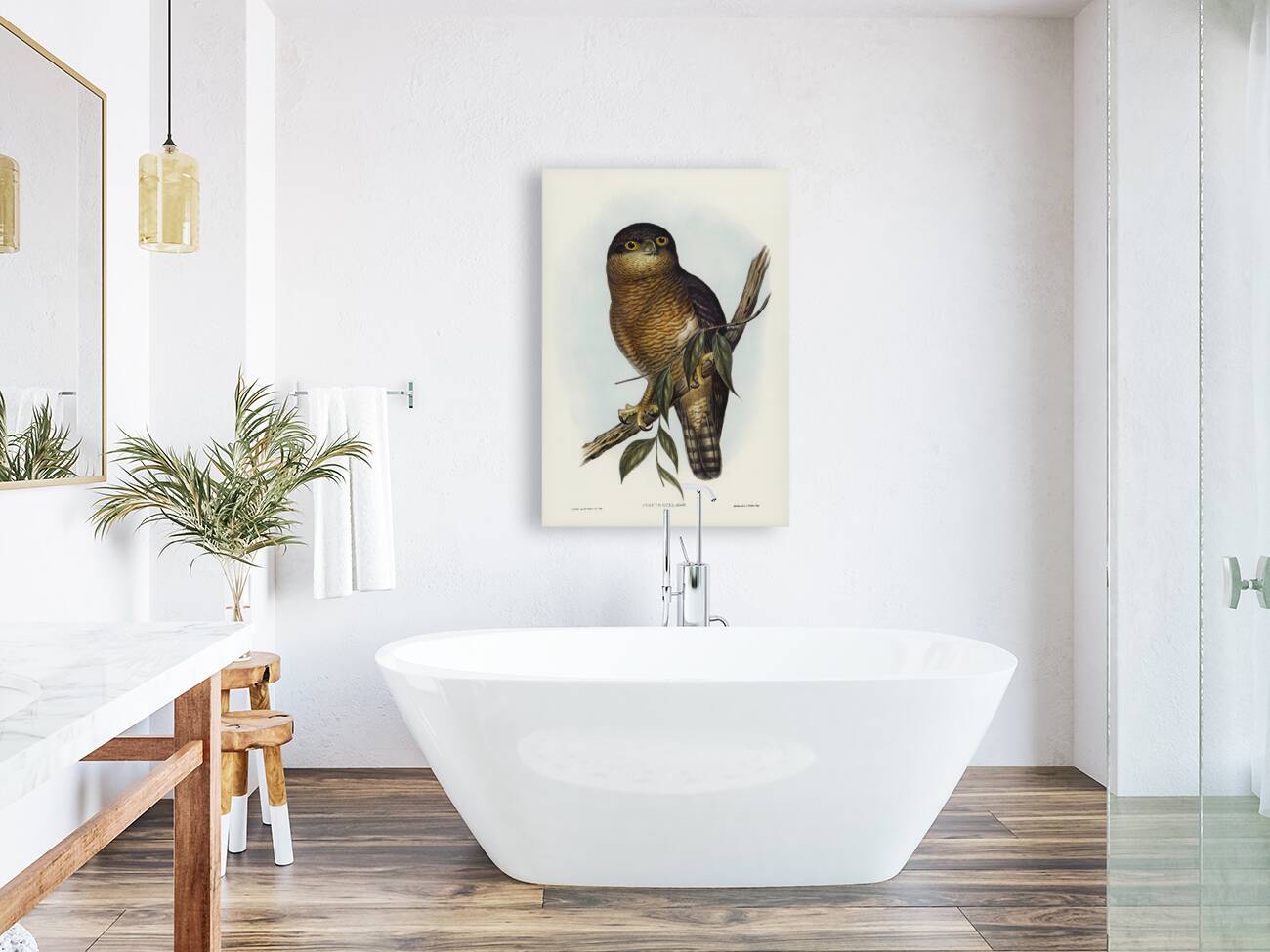 Rufous Owl Athene rufa illustrated by Elizabeth Gould 1804–1841 for John Gould’s 1804-1881 Birds of Australia  Reproduction