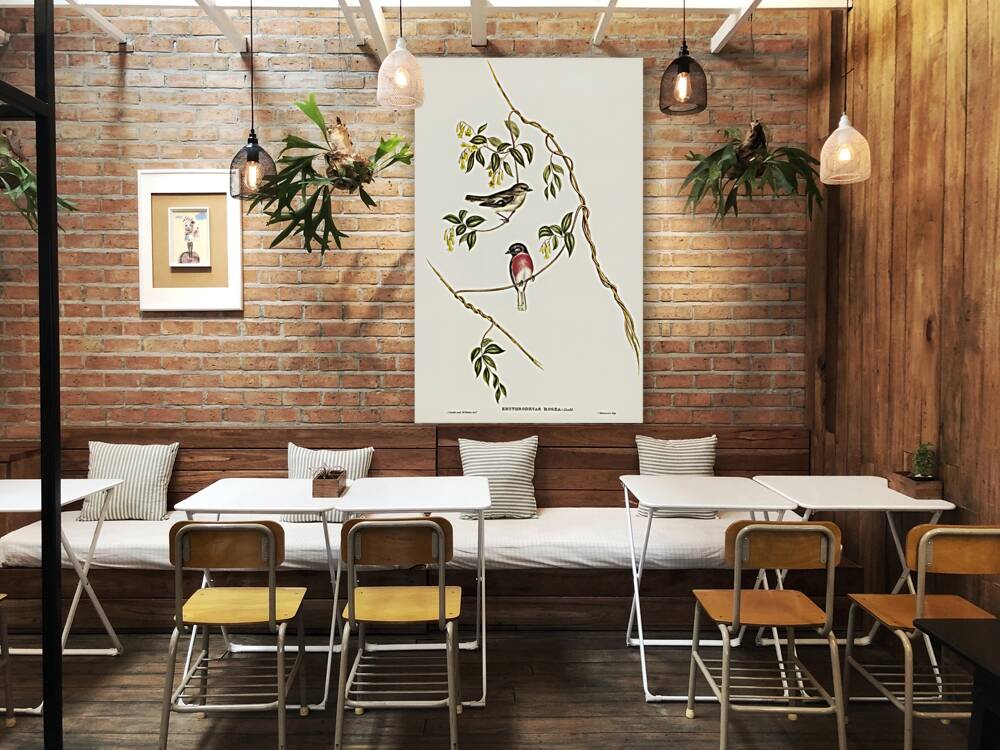 Rose-breasted Wood-robin Erythrodryas rosea illustrated by Elizabeth Gould 1804–1841 for John Gould’s 1804-1881 Birds of Australia  Reproduction