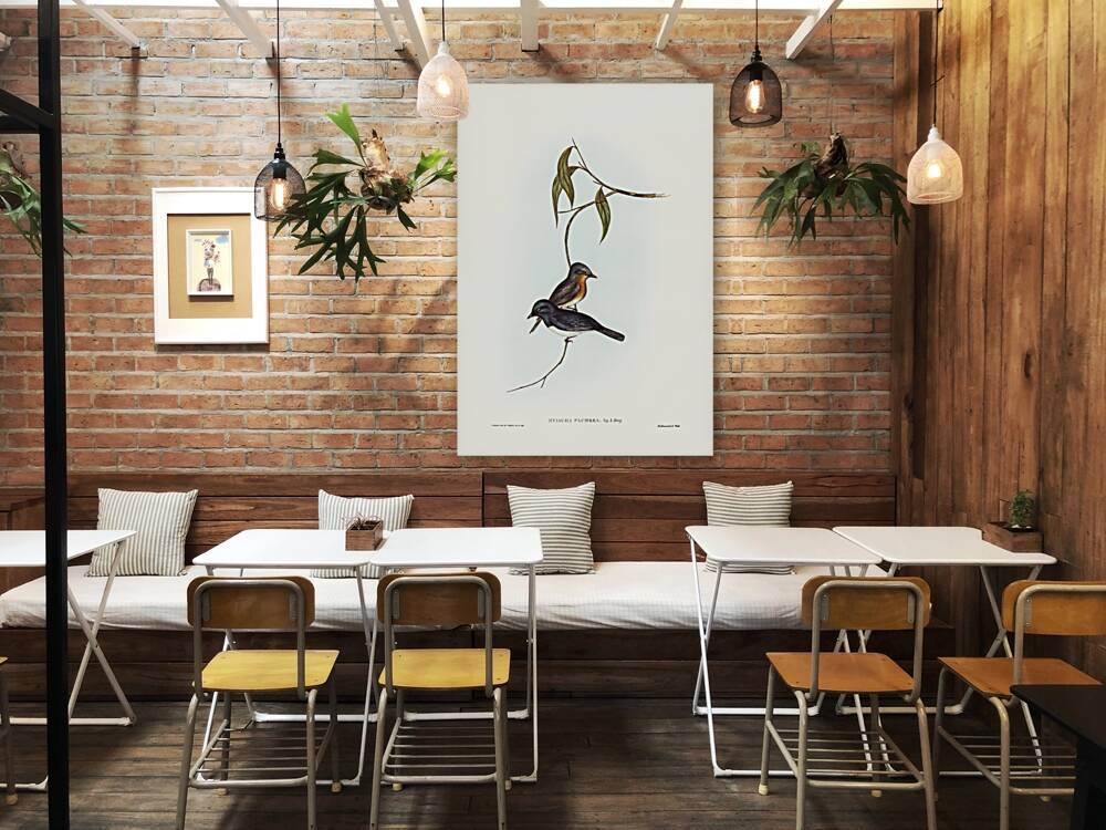 Plumbeous Flycatcher Myiagra plumbea illustrated by Elizabeth Gould 1804–1841 for John Gould’s 1804-1881 Birds of Australia  Reproduction