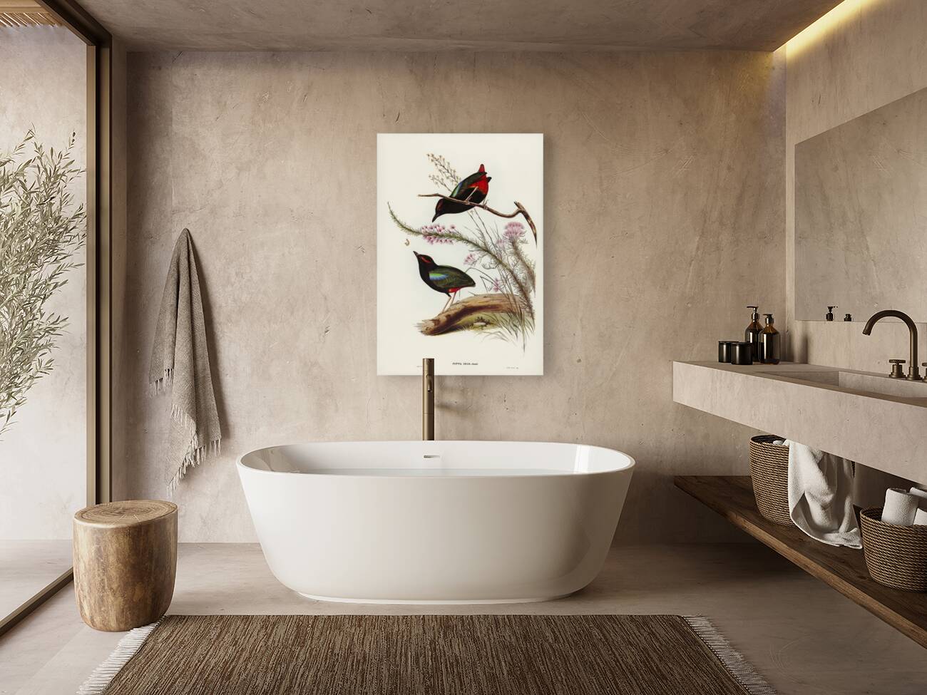 Rainbow Pitta Pitta Iris illustrated by Elizabeth Gould 1804–1841 for John Gould’s 1804-1881 Birds of Australia  Reproduction