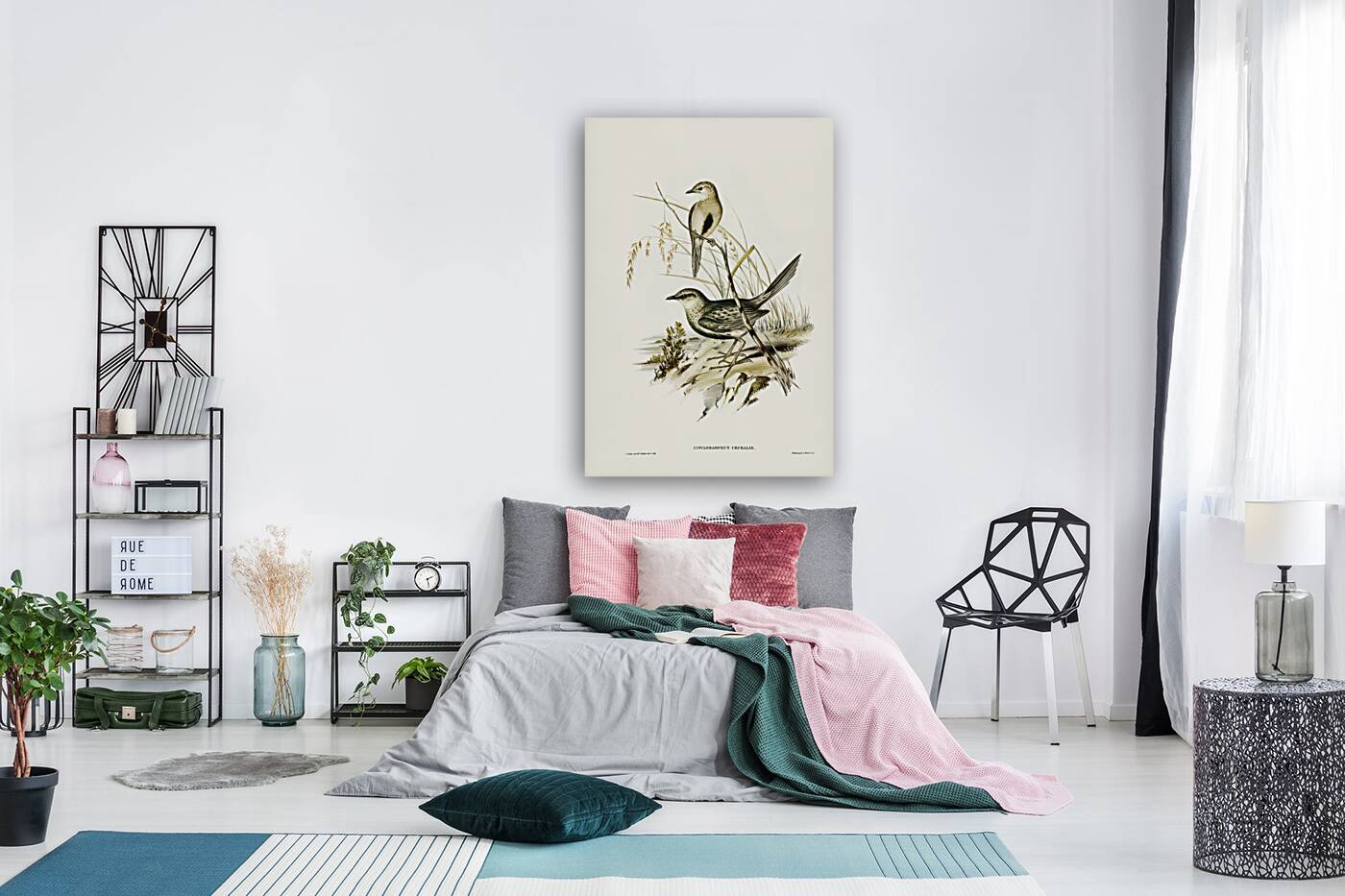 Brown Songlark Cincloramphus cruralis illustrated by Elizabeth Gould 1804–1841 for John Gould’s 1804-1881 Birds of Australia  Reproduction