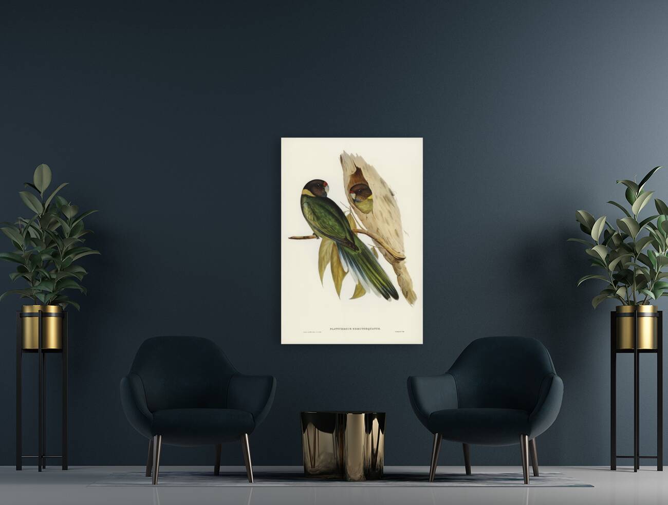 Curlew Sandpiper Schoeniclus subarquatus illustrated by Elizabeth Gould 1804–1841 for John Gould’s 1804-1881 Birds of Australia  Reproduction