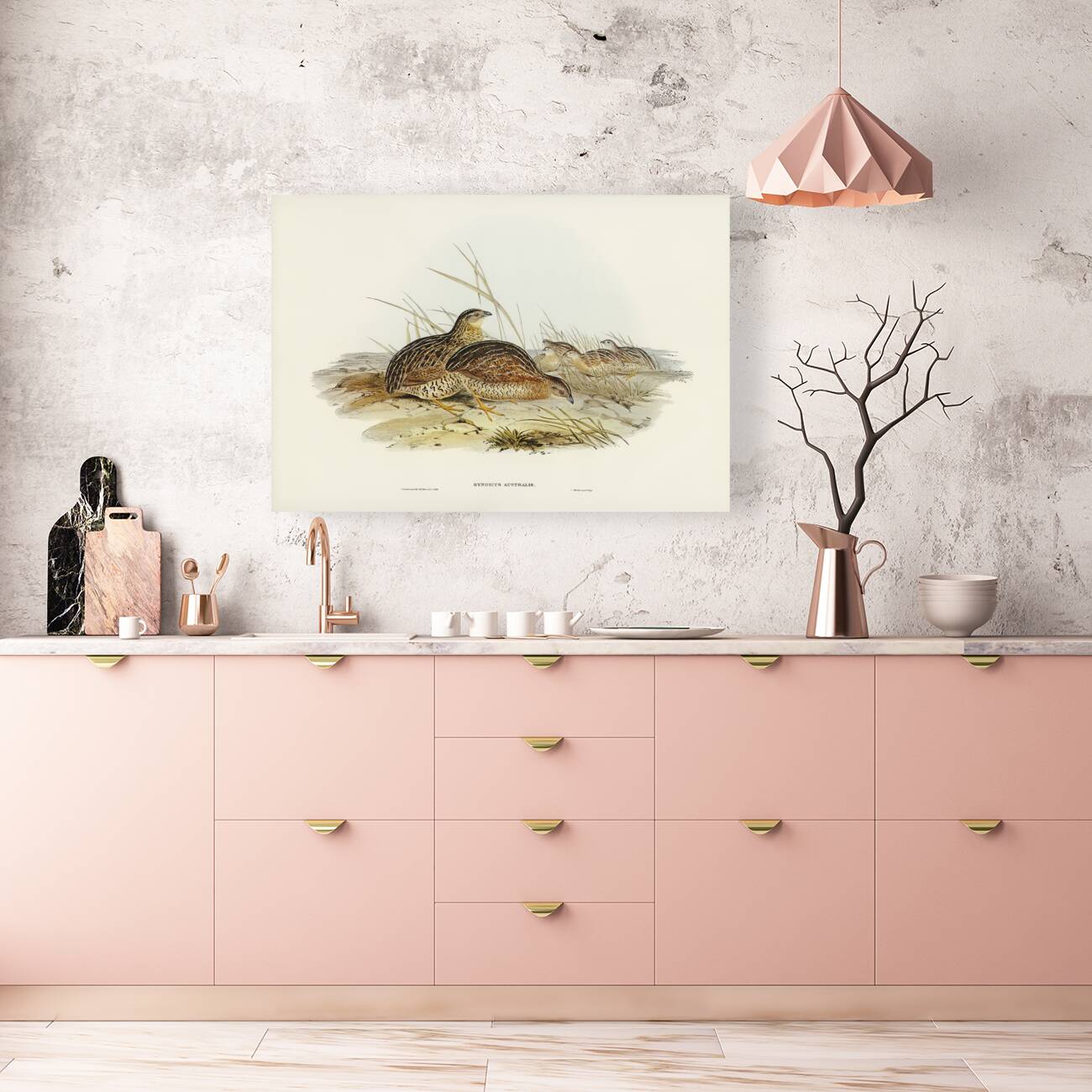 Chestnut-breasted Finch Donacola castaneothorax illustrated by Elizabeth Gould 1804–1841 for John Gould’s 1804-1881 Birds of Australia  Reproduction