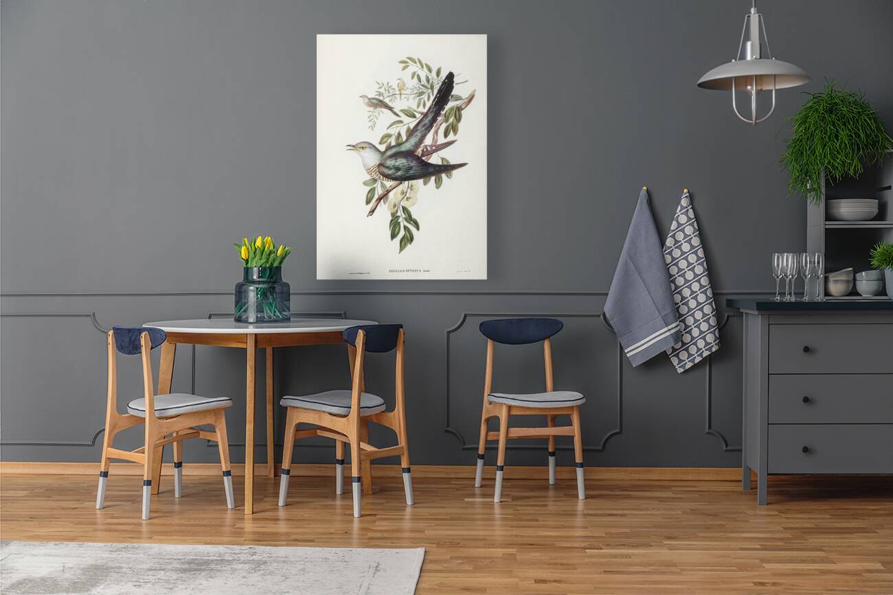 Chestnut-breasted Finch Donacola castaneothorax illustrated by Elizabeth Gould 1804–1841 for John Gould’s 1804-1881 Birds of Australia  Reproduction