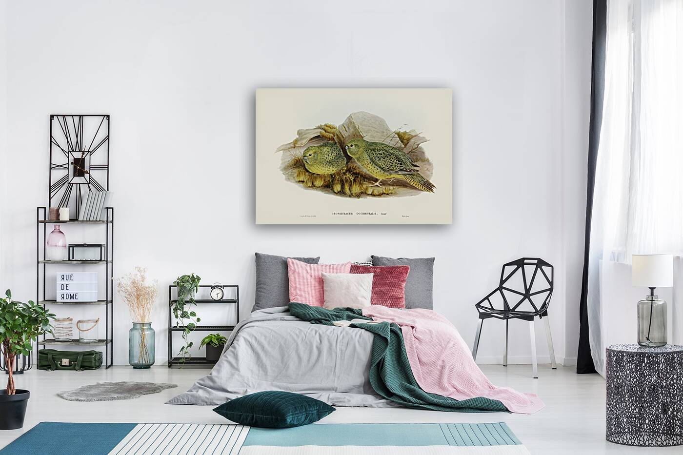 Nocturnal Ground-Parakeet Geopsittacus occidentalis illustrated by Elizabeth Gould 1804–1841 for John Gould’s 1804-1881 Birds of Australia  Reproduction