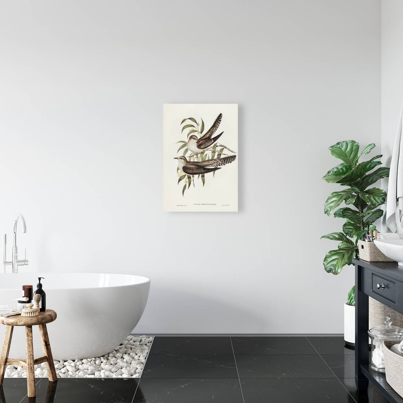 Unadorned Cuckoo Cuculus inornatus illustrated by Elizabeth Gould 1804–1841 for John Gould’s 1804-1881 Birds of Australia  Reproduction